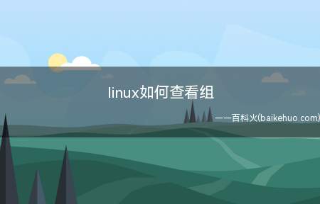 linux如何查看组