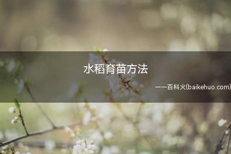 水稻要是育苗的话,首先要选好种子,之后定期施肥保证营养