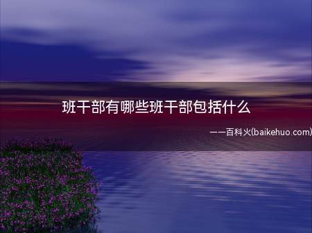 班干部有哪些班干部包括什么(班干部搞好班级工作,传达和协助班主任工作)