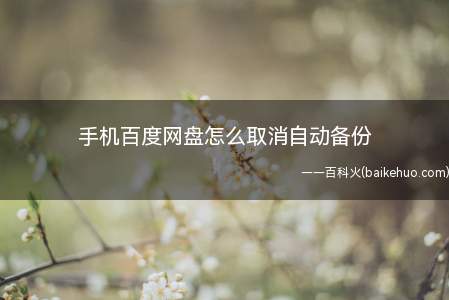 手机百度网盘怎么取消自动备份