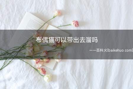 布偶猫可以带出去溜吗(布偶猫可以带出去遛吗)