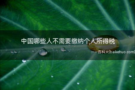 中国哪些人不需要缴纳个人所得税(不用交税的人:《个人所得税税法》)