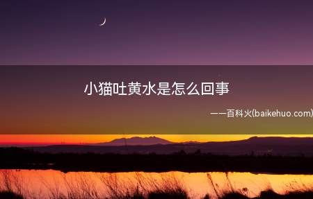 小猫吐黄水是怎么回事(小猫吐黄水可能有以下原因)