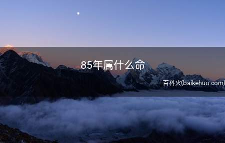 85年属什么命(1985年出生之人运势)