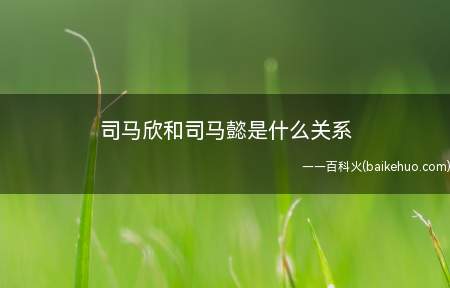 司马欣和司马懿是什么关系(司马欣和司马懿属于司马氏族不同的分支)