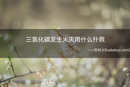 三氯化磷发生火灾用什么扑救(三氯化磷发生火灾用二氧化碳灭火器扑救)