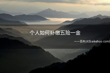 个人如何补缴五险一金(五险一金并不是任何人都可以补缴的)
