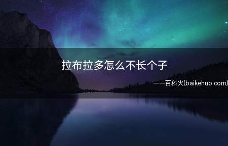 拉布拉多怎么不长个子(拉布拉多不长个的原因有很多)
