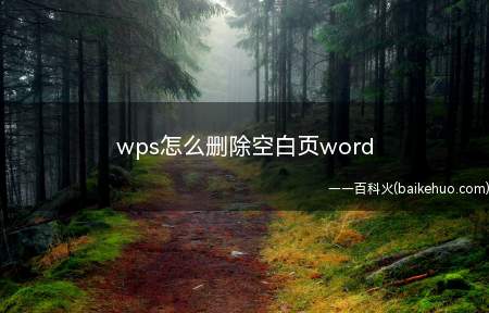wps怎么删除空白页word(word删除空白页的操作方式)