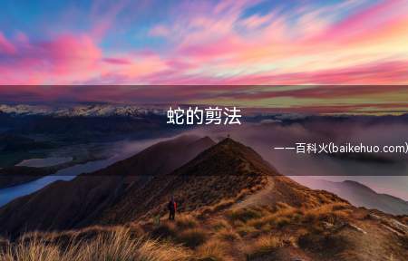 方形纸和一把剪刀,先把纸对折,眼睛和鼻子,稍作修饰就可以了