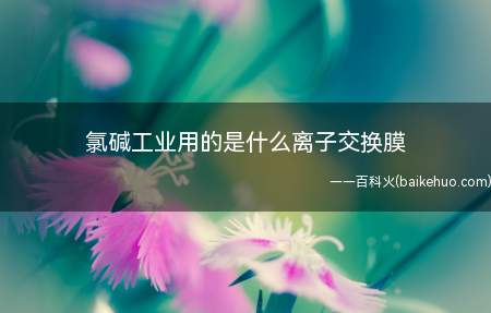 氯碱工业用的是什么离子交换膜(阳离子交换膜可以看作是一种高分子电解质)