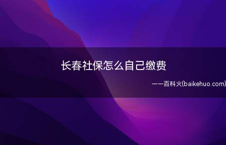 长春社保怎么自己缴费