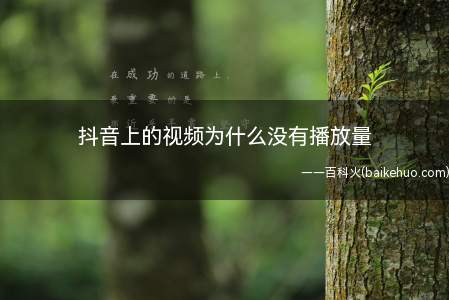 抖音上的视频为什么没有播放量（为什么自己的视频没有播放量）