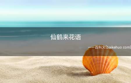 仙鹤来花语(不同颜色代表的花语有区别)