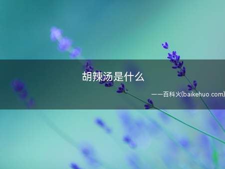 胡辣汤是什么(胡辣汤是中国北方早餐中常见的传统汤类名吃)