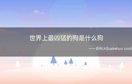 世界上最凶猛的狗是什么狗(比特犬是世界上战斗力最强的狗狗,也是最凶猛的狗)
