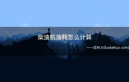 柴油机油耗怎么计算(一小时耗油多少升的意思)