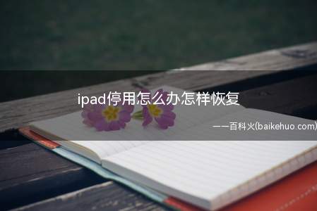 ipad停用怎么办怎样恢复