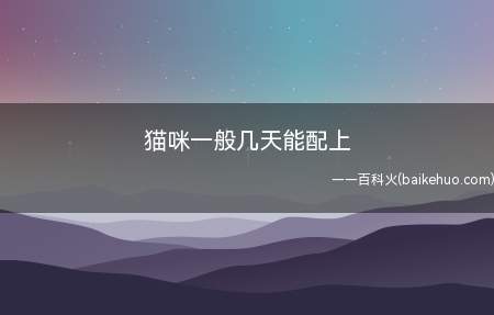 猫咪一般几天能配上