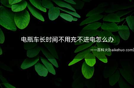 电瓶车长时间不用充不进电怎么办