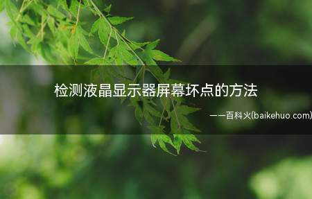 检测液晶显示器屏幕坏点的方法
