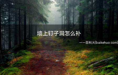 墙上钉子洞怎么补(墙上的钉子洞可以用补墙膏进行填补)