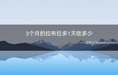 3个月的拉布拉多1天吃多少(三个月金毛一天可能吃300g的样子)