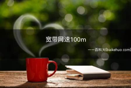 宽带网速100m(网速,指的是用户端Modem至电信宽带接入设备(DSLAM))