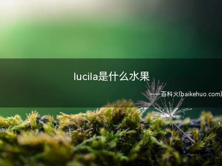 lucila是什么水果（lucila是水果车厘子）