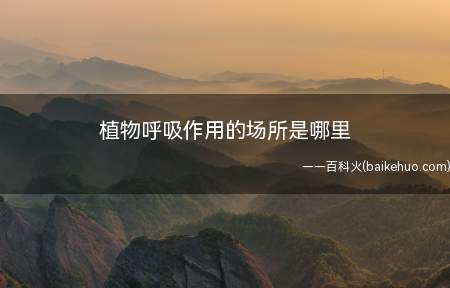 植物呼吸作用的场所是哪里(植物呼吸作用的场所是所有生活细胞)