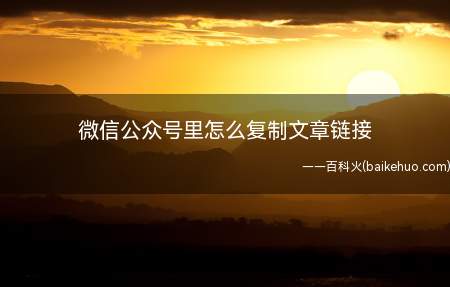 微信公众号里怎么复制文章链接