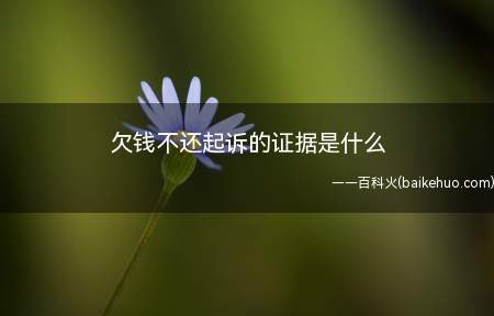 欠钱不还起诉的证据是什么(讨债的最有力的证据是什么)