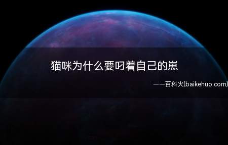 猫咪为什么要叼着自己的崽(这些动作会遗传到现在的猫的行为当中)