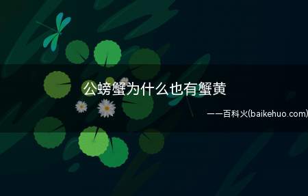 公螃蟹的性腺绝大部分是精巢,它在性成熟期会急剧增大