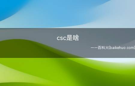 csc是啥(公派留学是人才强国战略的'重大举措)