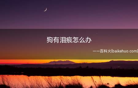 狗有泪痕怎么办(狗狗的泪痕目前没有很好的消除方法)