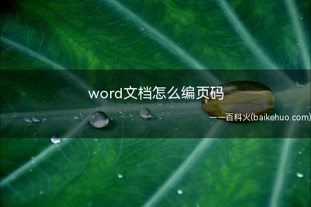 word文档怎么编页码(在word中点击菜单栏中的页码即可设置页码)