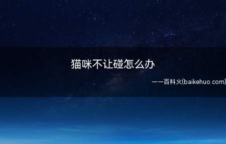 猫咪不让别人触碰,可能是因为猫咪对环境或者是主人感到非常的恐