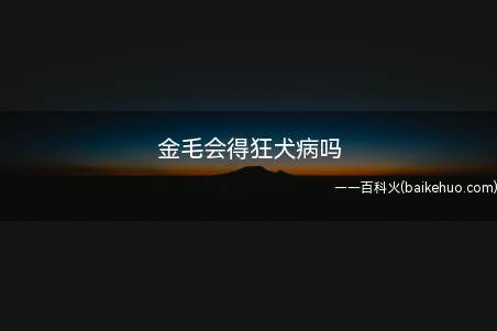 定期给金毛接种狂犬疫苗疫苗,那么患狂犬病的机率就会降低,但是