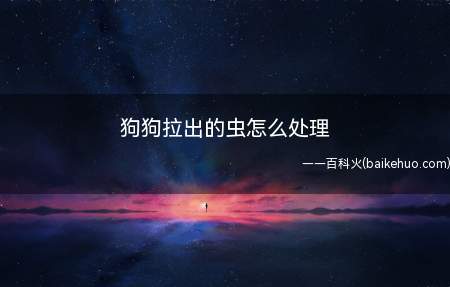 狗狗粪便中带有虫体可以把粪便扔到厕所或者专门用一个袋子