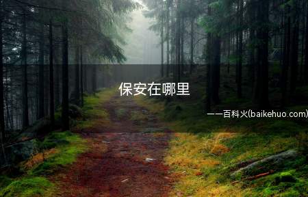 保安在哪里是什么梗（保安在哪里梗的出处是什么）