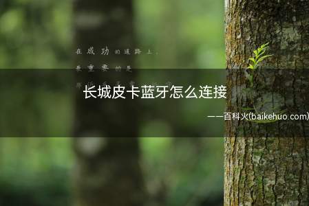长城皮卡蓝牙怎么连接(长城皮卡蓝牙连接方法介绍)