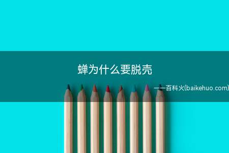 蝉为什么要脱壳(蝉的一生分为卵、幼虫、蛹、成虫4个阶段)