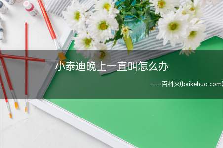 小泰迪晚上一直叫怎么办(小泰迪一直叫可能是因为缺乏安全感)