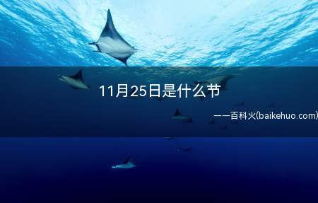 11月25日是什么节(消除对妇女的暴力日)