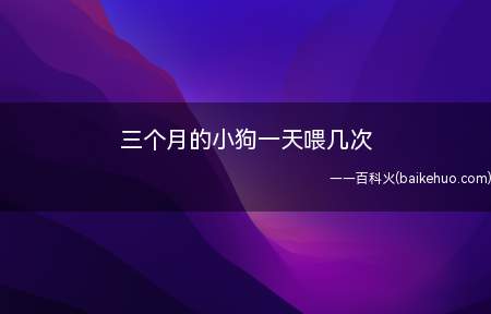 三个月的小狗一天喂几次(3个月年龄的小狗最好是喂食奶糕或幼犬粮)