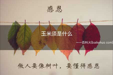 玉米须是什么(玉米须是玉米的花柱和柱头)