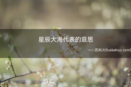 星辰大海代表的意思(“星辰大海”代表的意思)