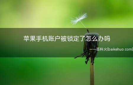 苹果手机账户被锁定了怎么办吗(iOS13的iPhone11为例)