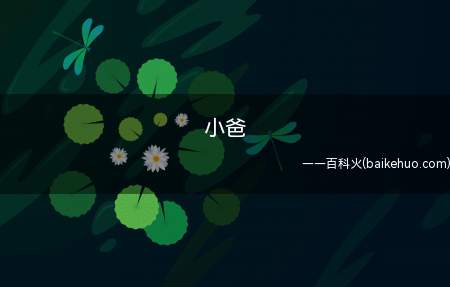 小爸(亲属称呼:现代词语“叔叔”是对父亲弟的尊称)